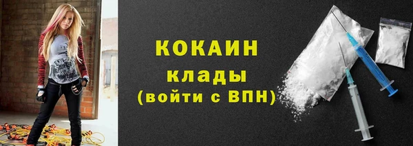 гидра Абаза
