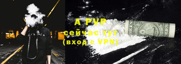 гидра Абаза