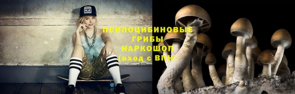 гидропоника Абинск