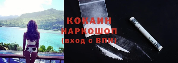 гидра Абаза