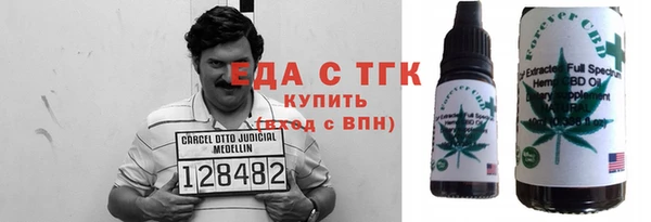 гидра Абаза