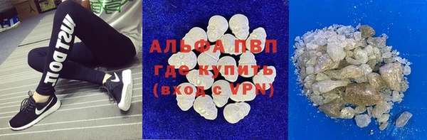 гидра Абаза