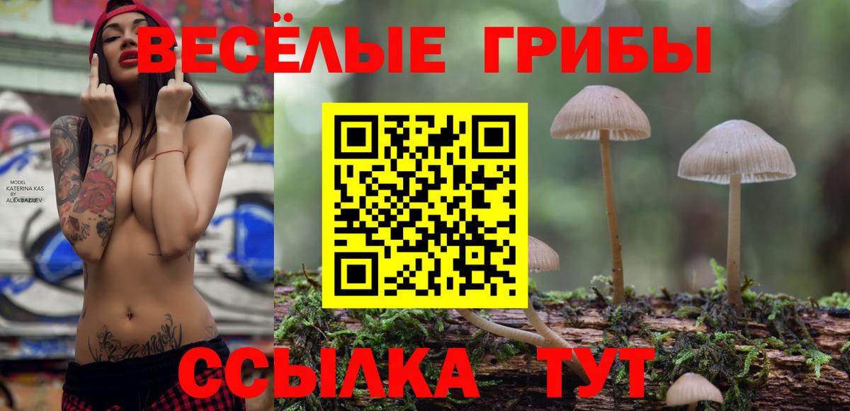 Красный Сулин  Псилоцибиновые грибы Cubensis  Вход с VPN 