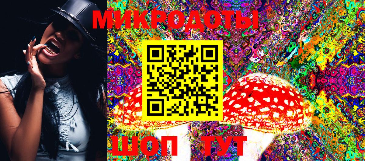 Псилоцибиновые грибы мицелий Красный Сулин